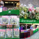 ตลาดสำหรับพื้นที่การเกษตรปลอดสารพิษ