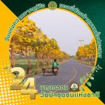 กิจกรรมวันป่าชุมชนแห่งชาติ